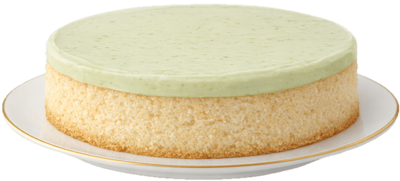 Sponge base